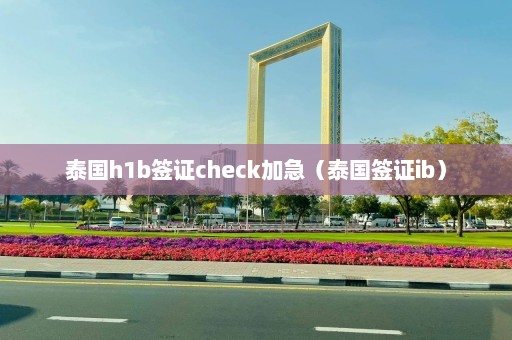 泰国h1b签证check加急（泰国签证ib）