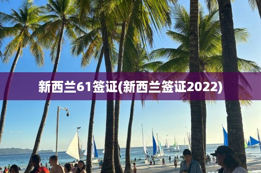 新西兰61签证(新西兰签证2022)