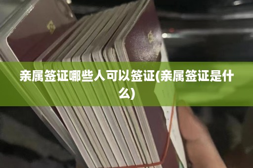 亲属签证哪些人可以签证(亲属签证是什么)