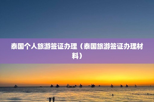 泰国个人旅游签证办理（泰国旅游签证办理材料）