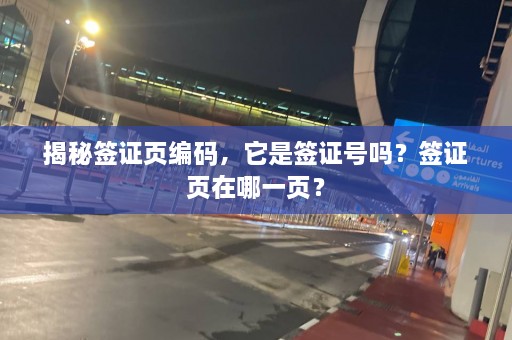 揭秘签证页编码，它是签证号吗？签证页在哪一页？