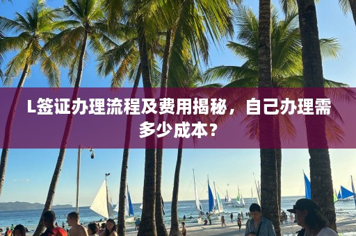 L签证办理流程及费用揭秘，自己办理需多少成本？