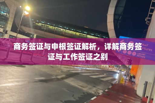 商务签证与申根签证解析，详解商务签证与工作签证之别