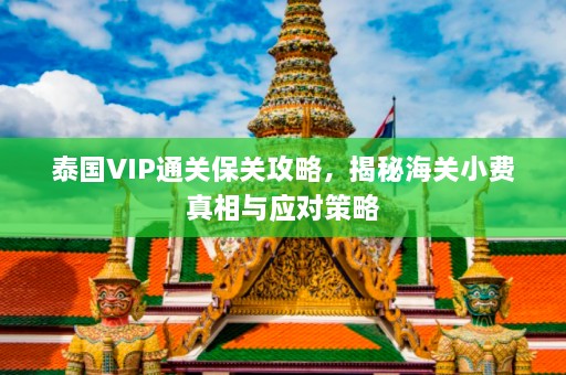 泰国VIP通关保关攻略，揭秘海关小费真相与应对策略