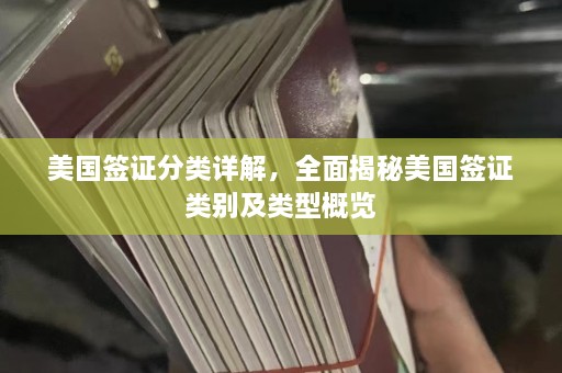 美国签证分类详解，全面揭秘美国签证类别及类型概览