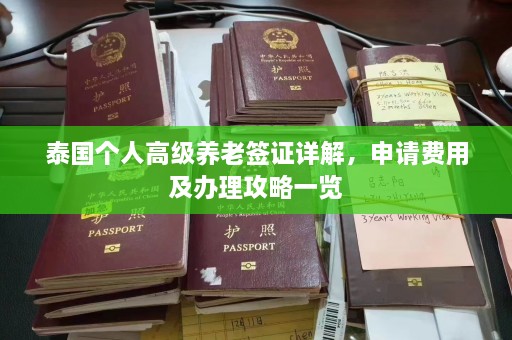 泰国个人高级养老签证详解，申请费用及办理攻略一览