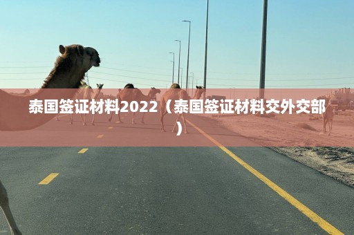 泰国签证材料2022（泰国签证材料交外交部）