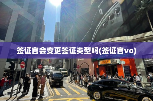 签证官会变更签证类型吗(签证官vo)