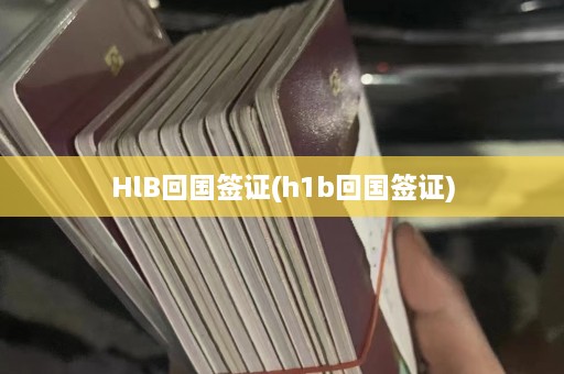 HlB回国签证(h1b回国签证)