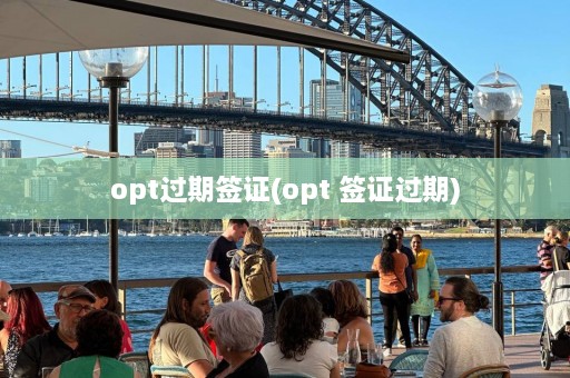 opt过期签证(opt 签证过期)