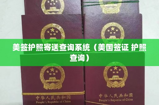 美签护照寄送查询系统（美国签证 护照查询）