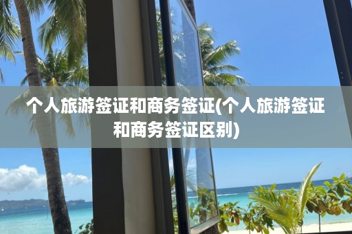 个人旅游签证和商务签证(个人旅游签证和商务签证区别)