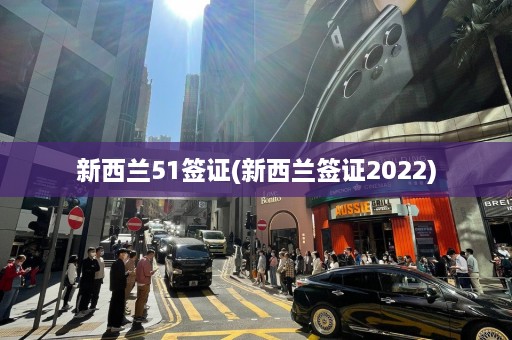 新西兰51签证(新西兰签证2022)