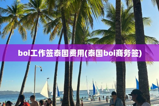 boi工作签泰国费用(泰国boi商务签)