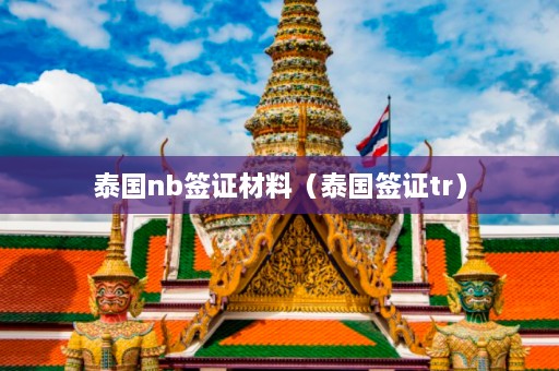 泰国nb签证材料（泰国签证tr）  第1张