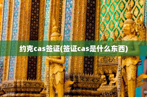 约克cas签证(签证cas是什么东西)