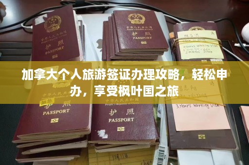 加拿大个人旅游签证办理攻略，轻松申办，享受枫叶国之旅