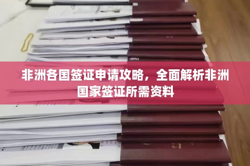 非洲各国签证申请攻略，全面解析非洲国家签证所需资料