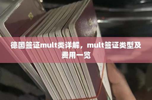 德国签证mult类详解，mult签证类型及费用一览