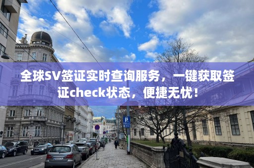 全球SV签证实时查询服务，一键获取签证check状态，便捷无忧！