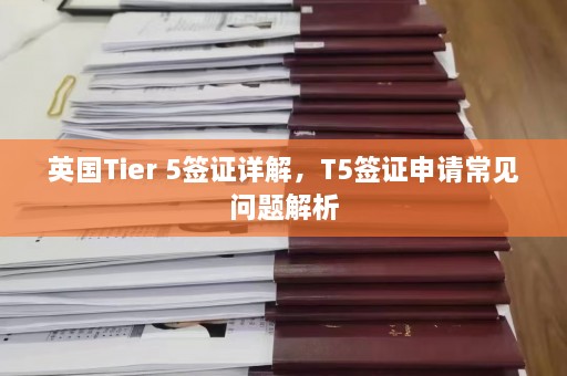 英国Tier 5签证详解，T5签证申请常见问题解析