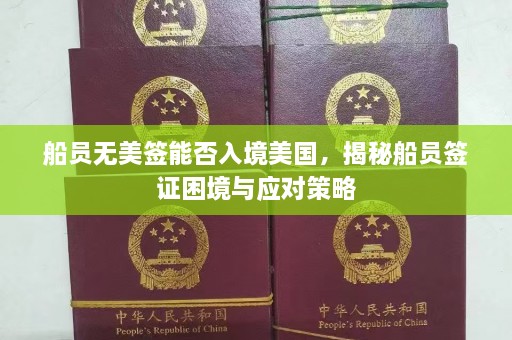 船员无美签能否入境美国，揭秘船员签证困境与应对策略