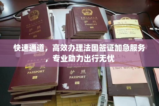 快速通道，高效办理法国签证加急服务，专业助力出行无忧