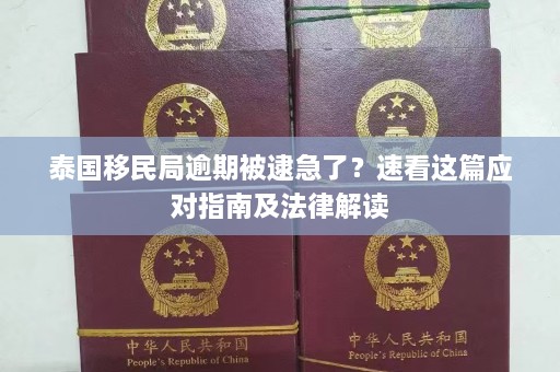 泰国移民局逾期被逮急了？速看这篇应对指南及法律解读