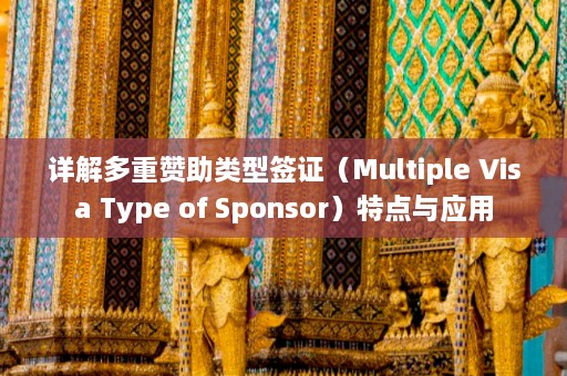 详解多重赞助类型签证（Multiple Visa Type of Sponsor）特点与应用