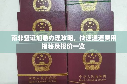 南非签证加急办理攻略，快速通道费用揭秘及报价一览