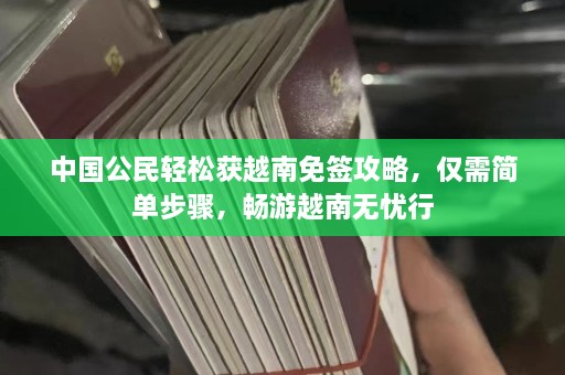 中国公民轻松获越南免签攻略，仅需简单步骤，畅游越南无忧行