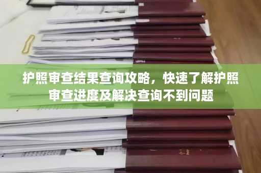 护照审查结果查询攻略，快速了解护照审查进度及解决查询不到问题