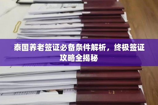 泰国养老签证必备条件解析，终极签证攻略全揭秘