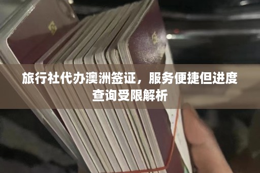 旅行社代办澳洲签证，服务便捷但进度查询受限解析