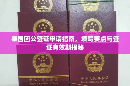 泰国因公签证申请指南，填写要点与签证有效期揭秘