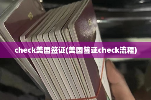 check美国签证(美国签证check流程)