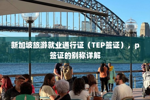 新加坡旅游就业通行证（TEP签证），p签证的别称详解  第1张