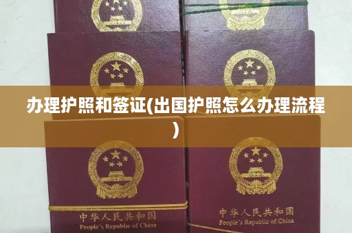 办理护照和签证(出国护照怎么办理流程)