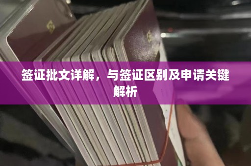 签证批文详解，与签证区别及申请关键解析