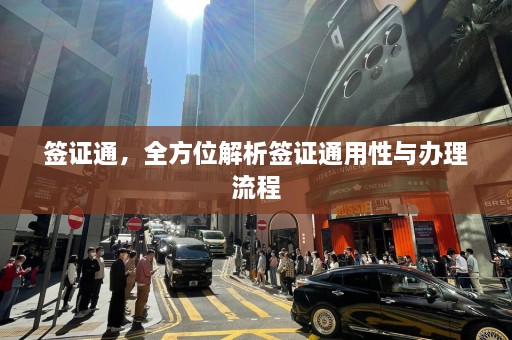 签证通，全方位解析签证通用性与办理流程