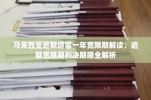 马来西亚逾期逗留一年宽限期解读，逾期宽限期判决期限全解析