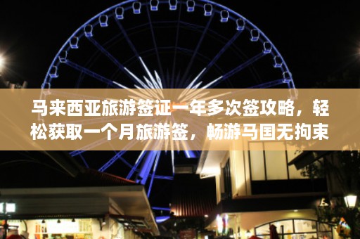 马来西亚旅游签证一年多次签攻略，轻松获取一个月旅游签，畅游马国无拘束