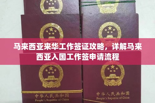 马来西亚来华工作签证攻略，详解马来西亚入国工作签申请流程