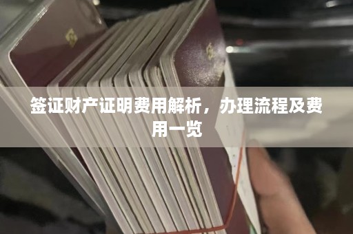 签证财产证明费用解析，办理流程及费用一览