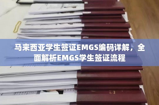 马来西亚学生签证EMGS编码详解，全面解析EMGS学生签证流程