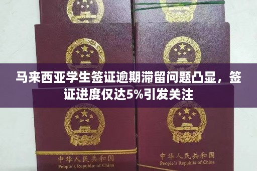 马来西亚学生签证逾期滞留问题凸显，签证进度仅达5%引发关注