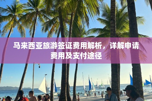 马来西亚旅游签证费用解析，详解申请费用及支付途径