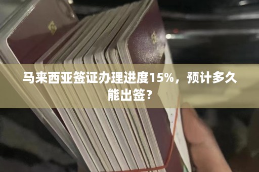 马来西亚签证办理进度15%，预计多久能出签？