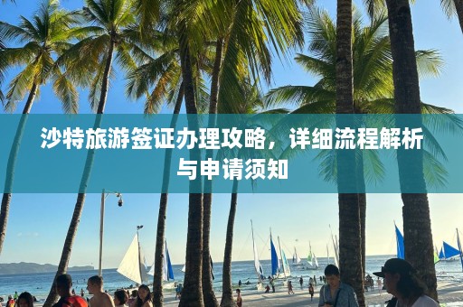 沙特旅游签证办理攻略，详细流程解析与申请须知