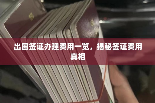 出国签证办理费用一览，揭秘签证费用真相